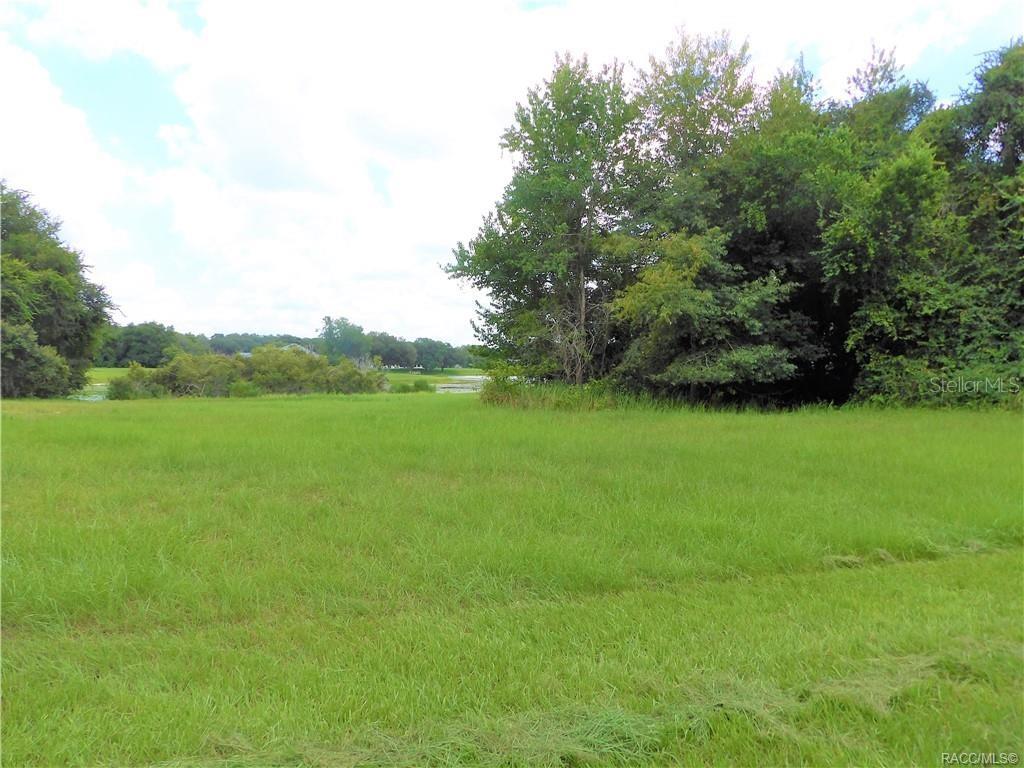 A grassy, open lot features a cluster of trees and a distant view of water — 9546 E BAYMEADOWS DRIVE, INVERNESS, FL
