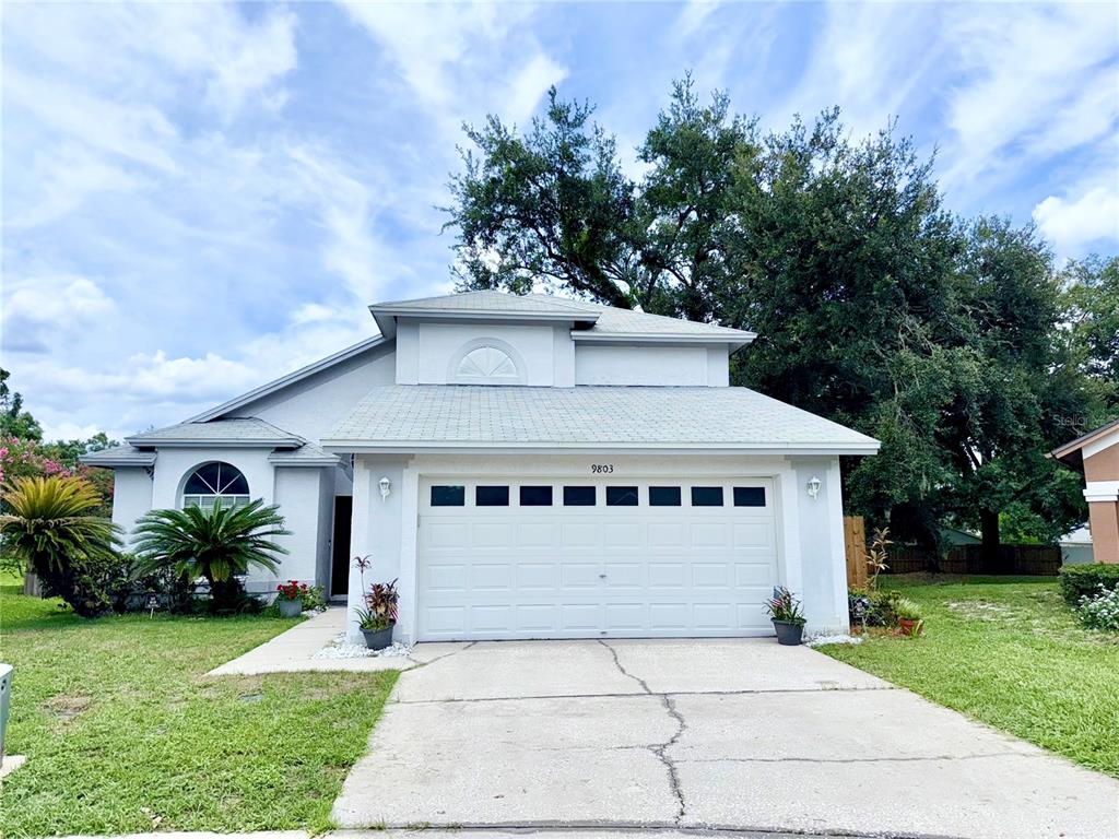 9803 TERRACE TRAIL LANE