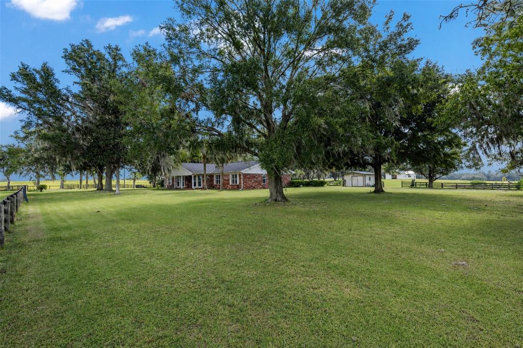A brick house sits on a large grassy lot shaded by several mature oak trees — 8544 NW 160TH AVENUE, MORRISTON, FL