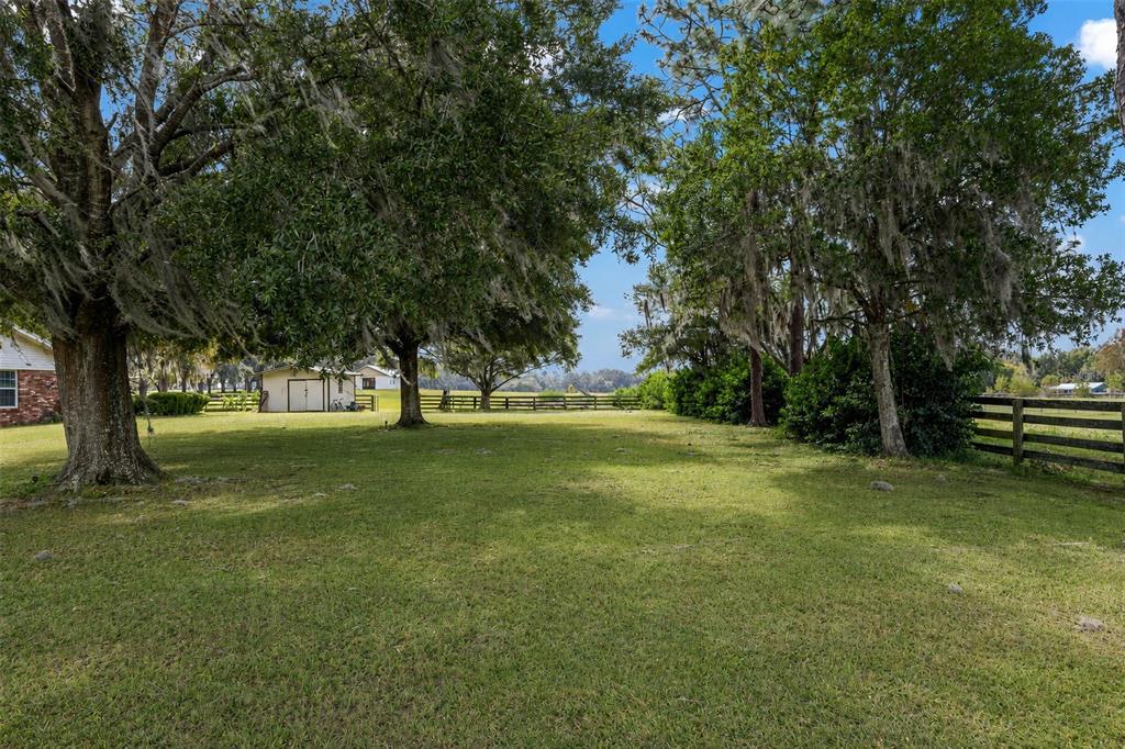 A grassy backyard features large oak trees with Spanish moss and a wooden fence — 8544 NW 160TH AVENUE, MORRISTON, FL