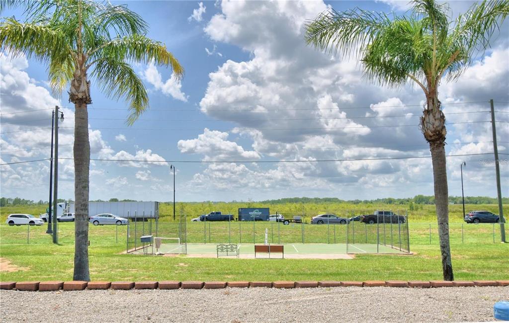 A fenced pickleball court sits between two palm trees in a grassy outdoor area — 251 PATTERSON ROAD UNIT C29, HAINES CITY, FL