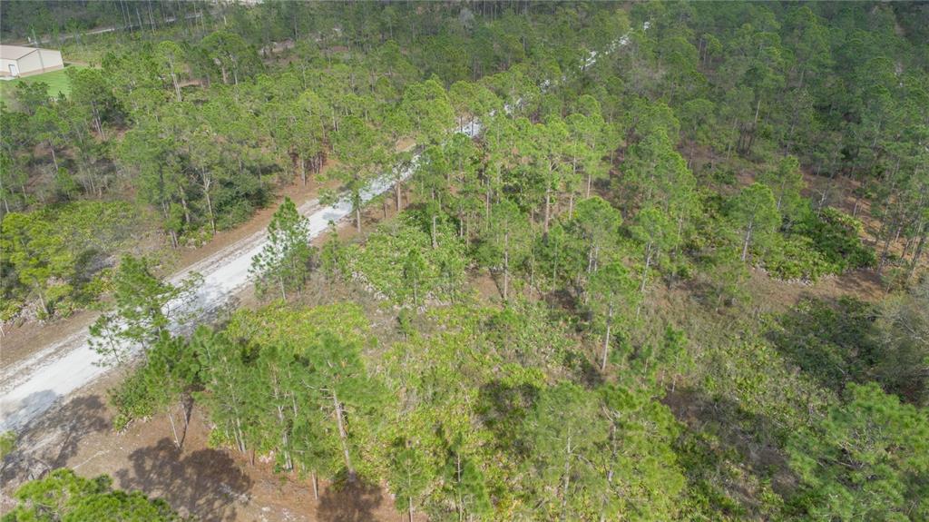 An aerial view shows a dirt road winding through a wooded lot with pine trees — 13 ALBA DRIVE, INDIAN LAKE ESTATES, FL