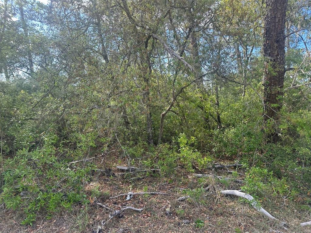 Lot 6 SW 170TH PLACE