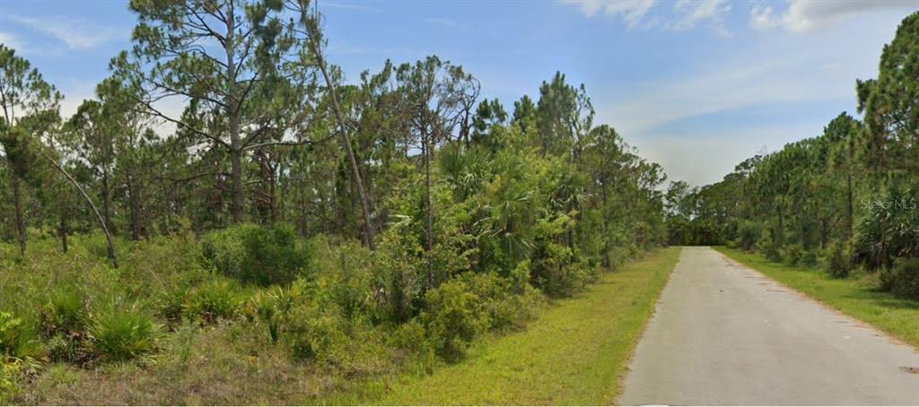 A paved road runs alongside a wooded lot featuring pine trees and native Florida vegetation — 13547 LYNBROOK AVENUE, PORT CHARLOTTE, FL