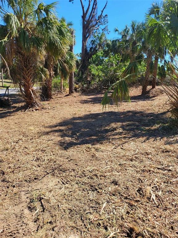 BENDIX TERRACE, NORTH PORT, FL — photo 3 of 8