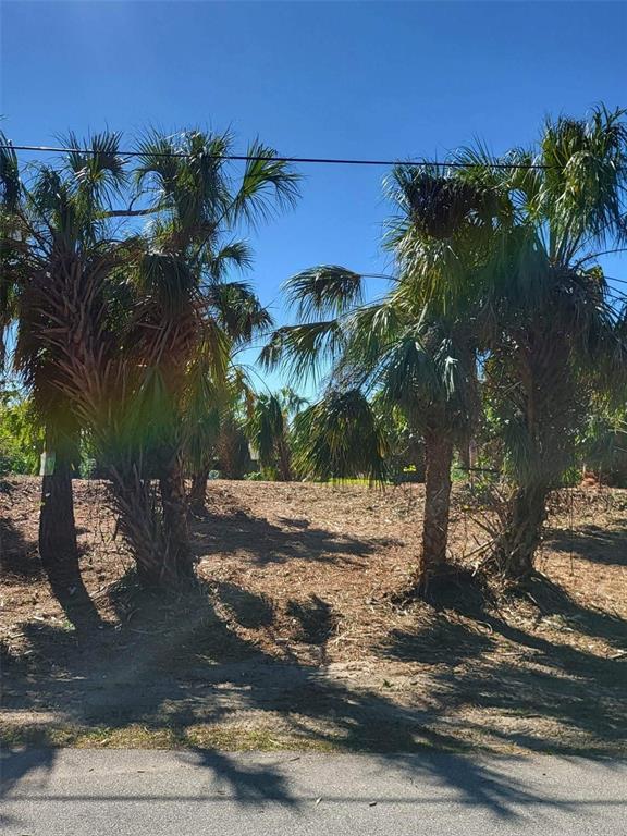 BENDIX TERRACE, NORTH PORT, FL — photo 4 of 8