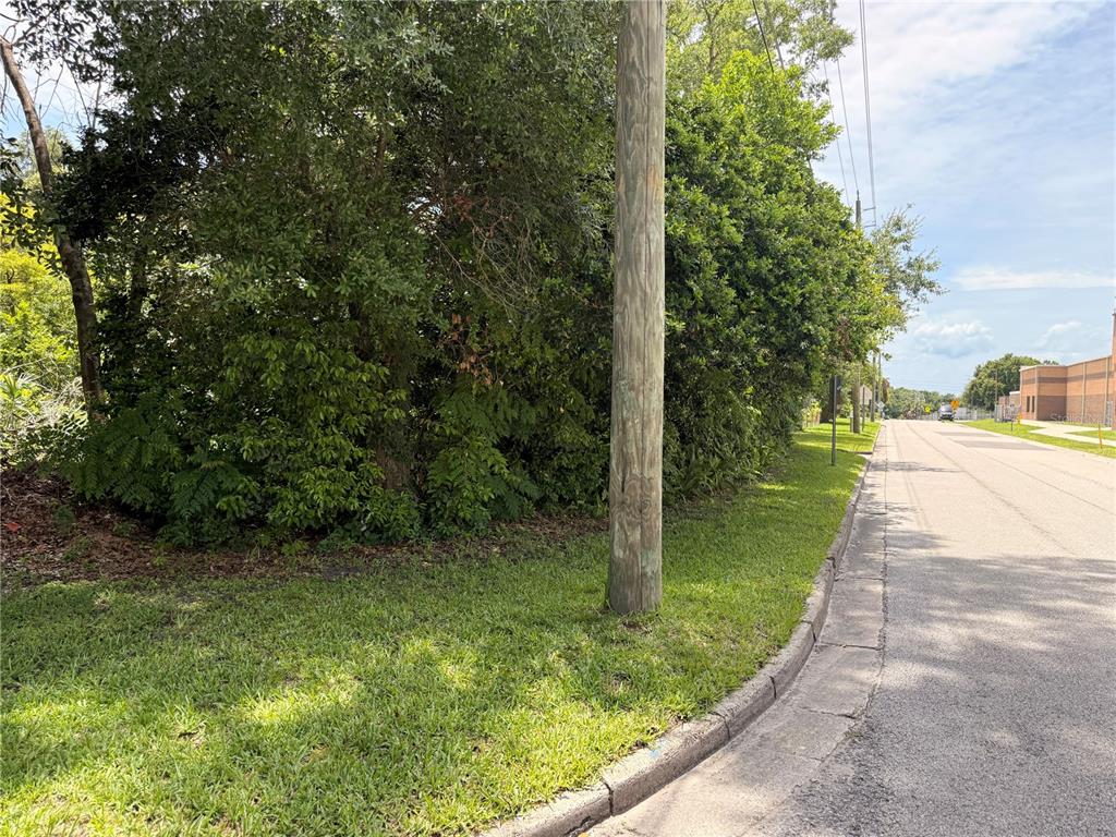 A utility pole stands on a grassy corner lot next to a paved road — 1804 S MAPLE AVENUE, SANFORD, FL