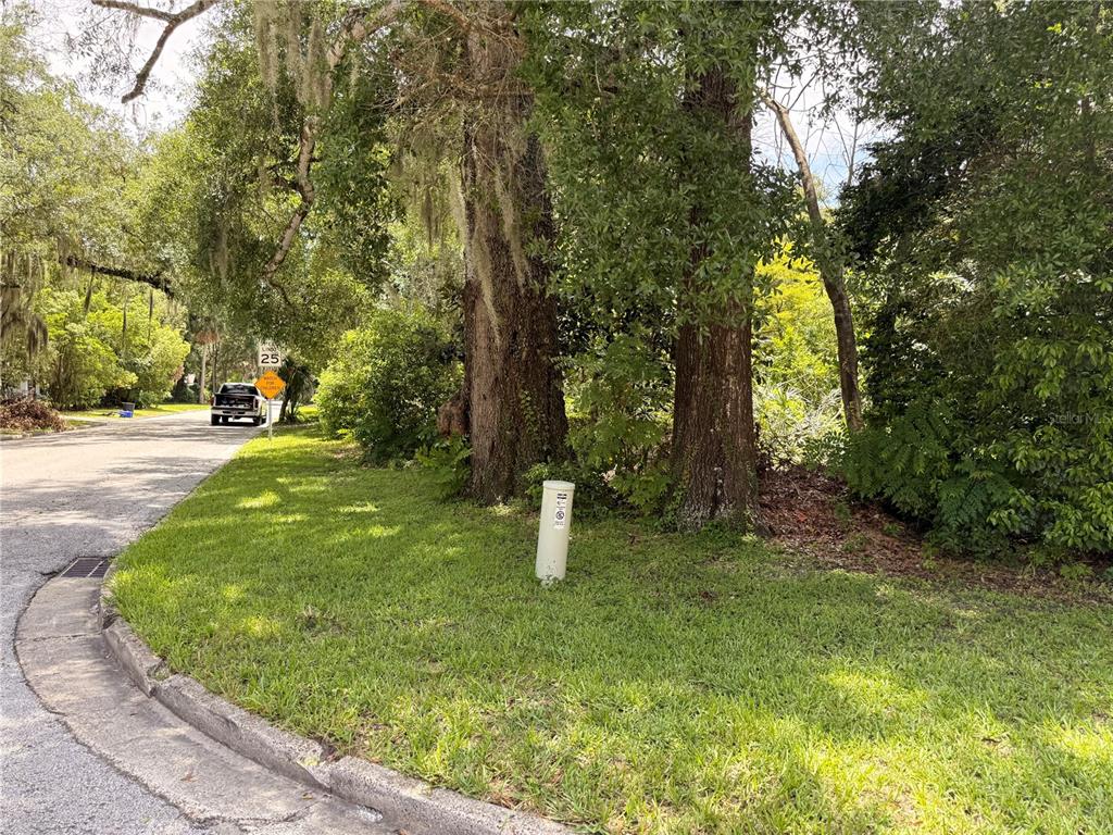 A grassy corner lot features two large trees and a utility pedestal near a road — 1804 S MAPLE AVENUE, SANFORD, FL