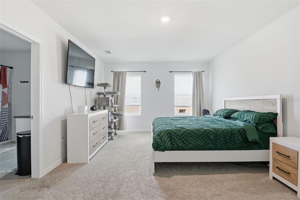 A bedroom features a bed with green bedding, a white dresser, and a cat tree — 3844 SUNNY SPRING STREET, PLANT CITY, FL