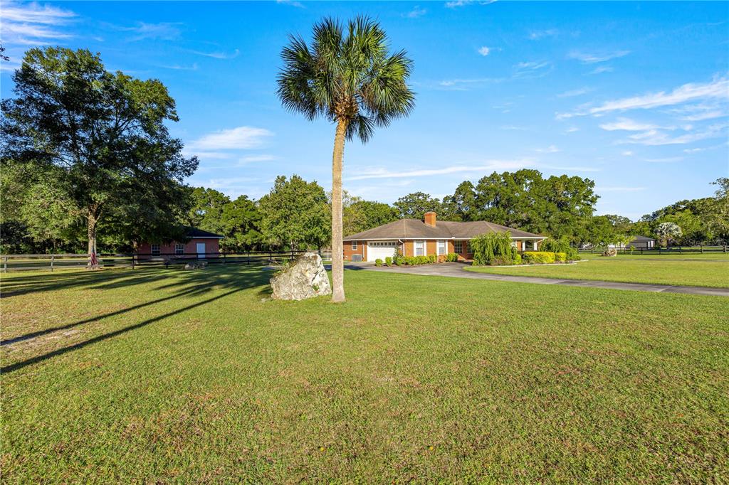 A single-story brick house sits on a large grassy lot with a prominent palm tree — 9812 SW 74TH AVENUE, OCALA, FL