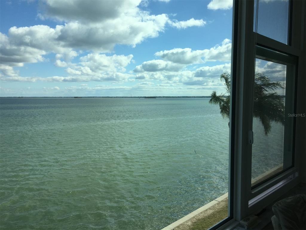A view of a large body of water and a palm tree through a window — 7 DUNOON PLACE UNIT 303, DUNEDIN, FL