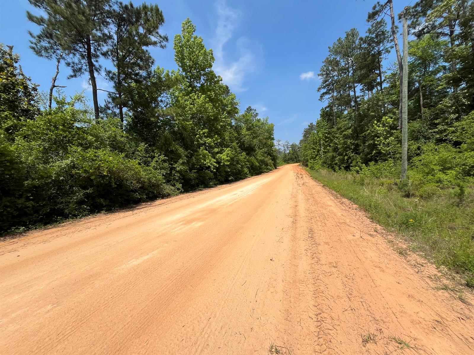 A dirt road stretches through a wooded area under a clear blue sky — Tbd Grand Quiviera Circle, FL 32420, FL