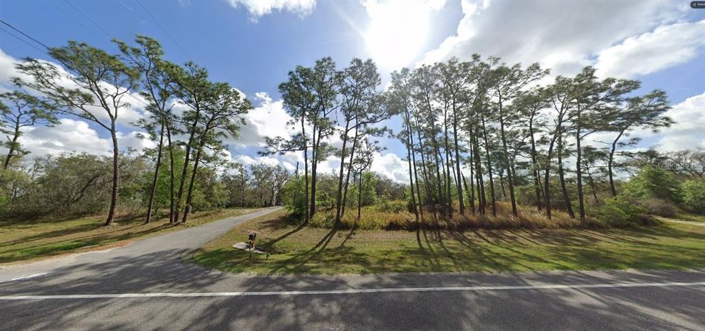 A vacant, grassy lot with several tall pine trees sits beside a paved road — COMMONWEALTH AVENUE N, POLK CITY, FL
