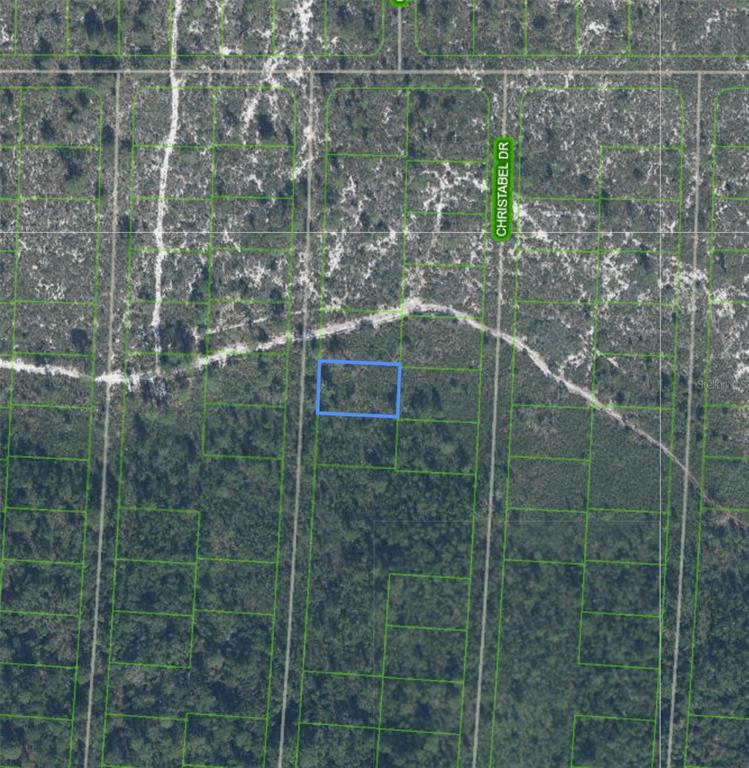 This is an aerial map showing a highlighted rectangular plot of land in a wooded area — 6652 ALGARDI DRIVE, SEBRING, FL