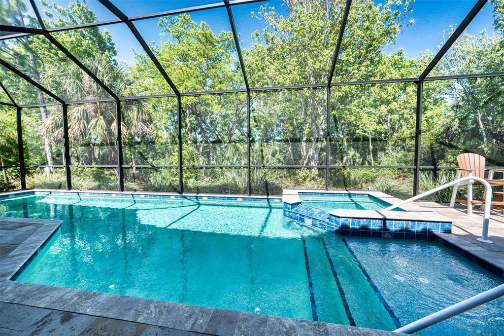 A screened-in swimming pool and spa surrounded by lush green trees — 10107 WICKER PARK PLACE, PALMETTO, FL