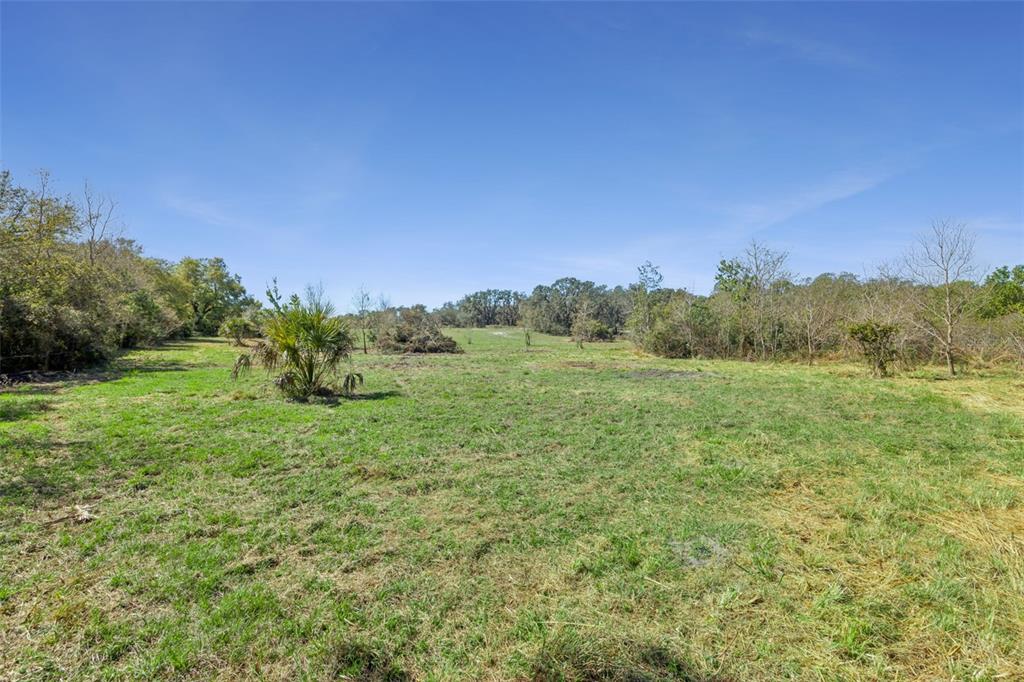 A wide, grassy field is surrounded by trees under a clear blue sky — LOT 2 OAK HOLLOW, OVIEDO, FL