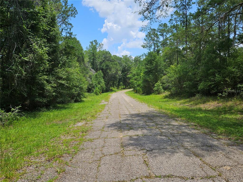 A weathered asphalt road stretches through a wooded area under a blue sky — 1582 DERBY DR., DUNNELLON, FL