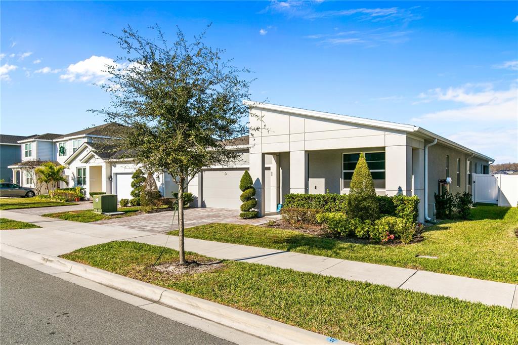 A modern single-story house with a flat roof, gray stucco exterior, and a paved driveway — 11851 SUNSAIL AVENUE, ORLANDO, FL