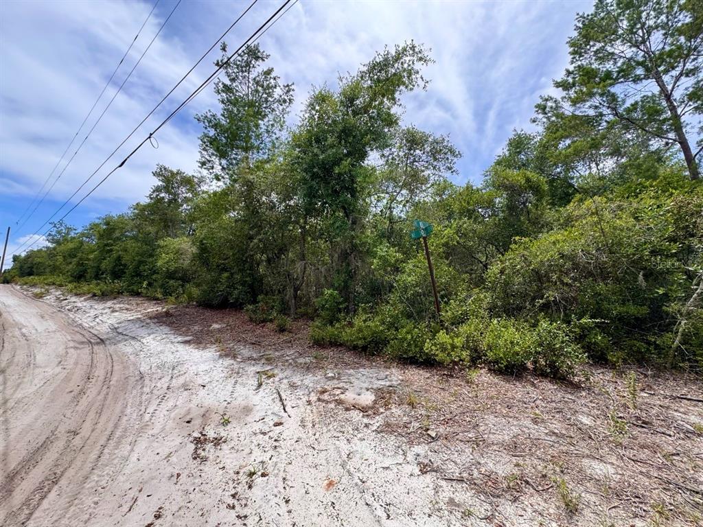 A dirt road runs alongside a wooded lot with a street sign in the trees — NE 306TH TERRACE, SALT SPRINGS, FL
