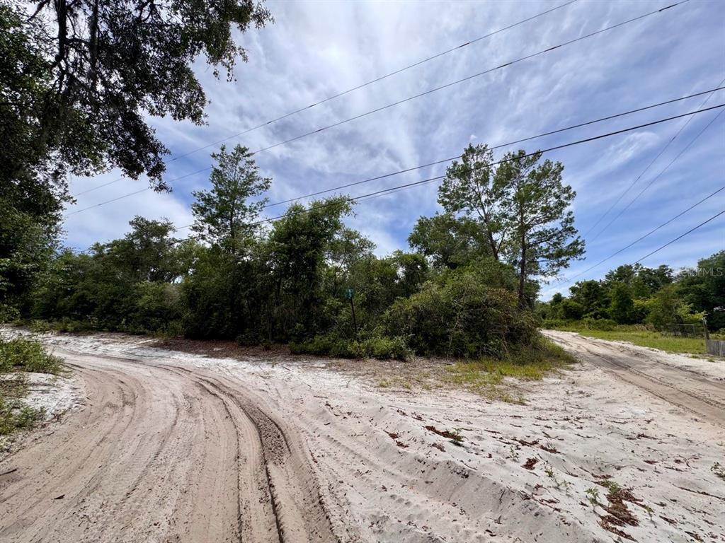 A sandy, unpaved road forks in front of a wooded, undeveloped lot — NE 306TH TERRACE, SALT SPRINGS, FL
