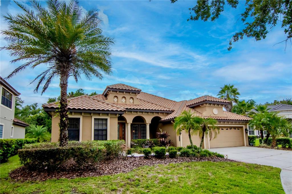 A single-story house with a tile roof, tan stucco exterior, and a palm tree out front — 20110 POND SPRING WAY, TAMPA, FL