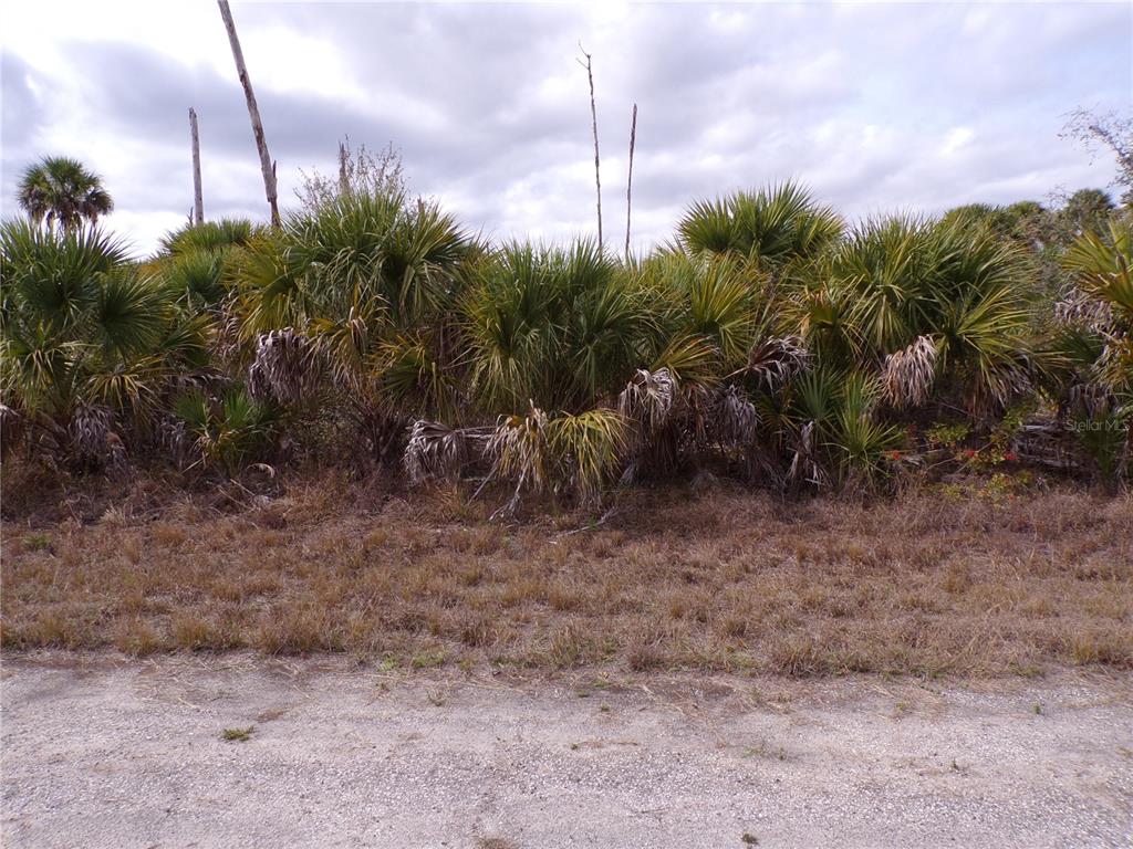 COPERNICUS ROAD, NORTH PORT, FL — photo 2 of 10