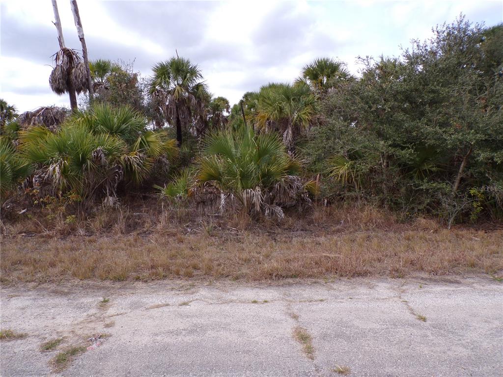 COPERNICUS ROAD, NORTH PORT, FL — photo 5 of 10