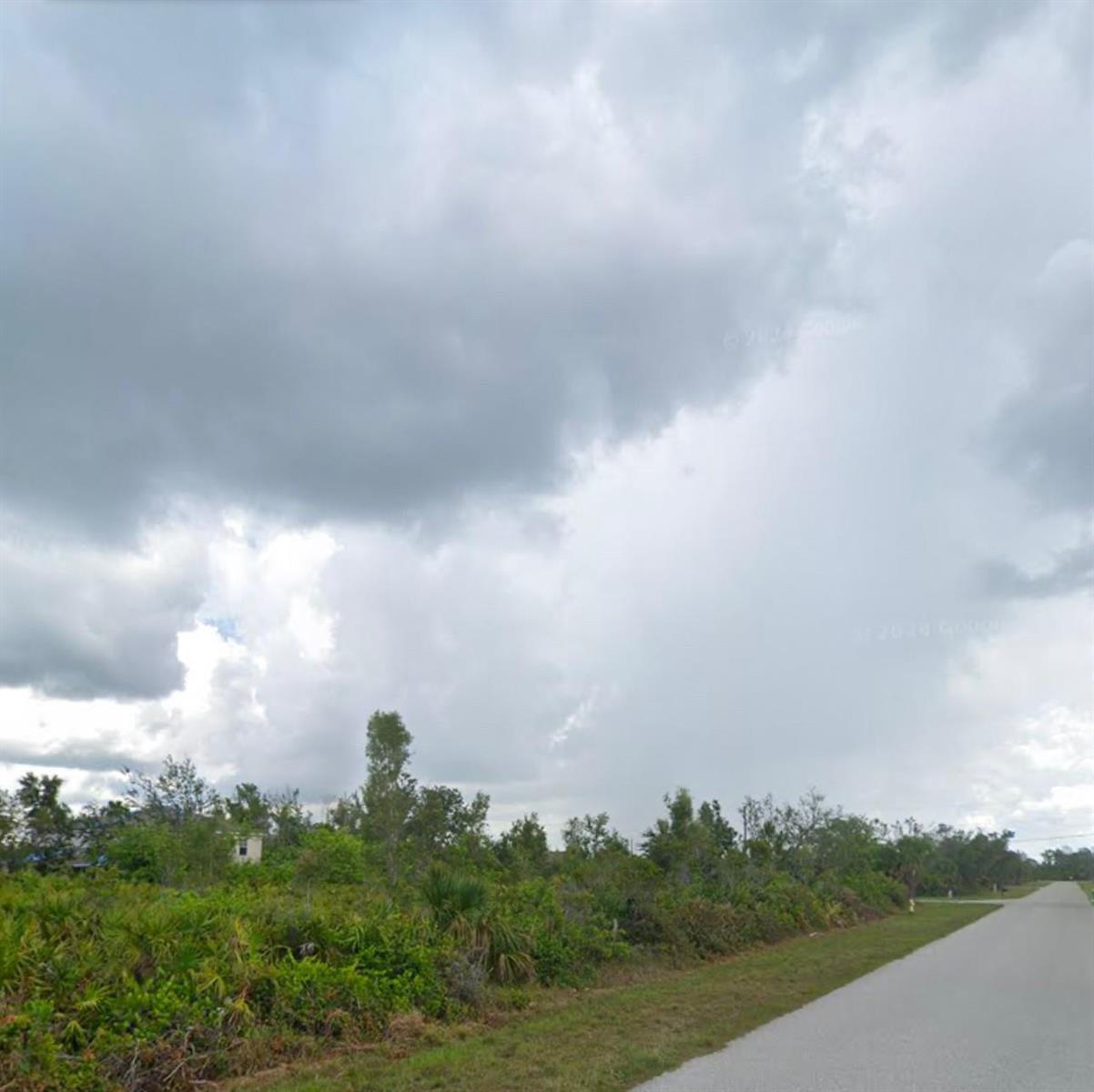 A paved road runs alongside a vacant, overgrown lot under a cloudy sky — 9205 Zorn Street, FL 33981, FL