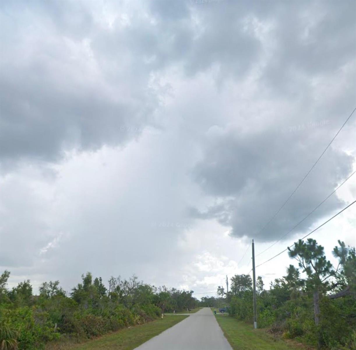 A paved road stretches into the distance under a cloudy sky, flanked by trees and vegetation — 9205 Zorn Street, FL 33981, FL
