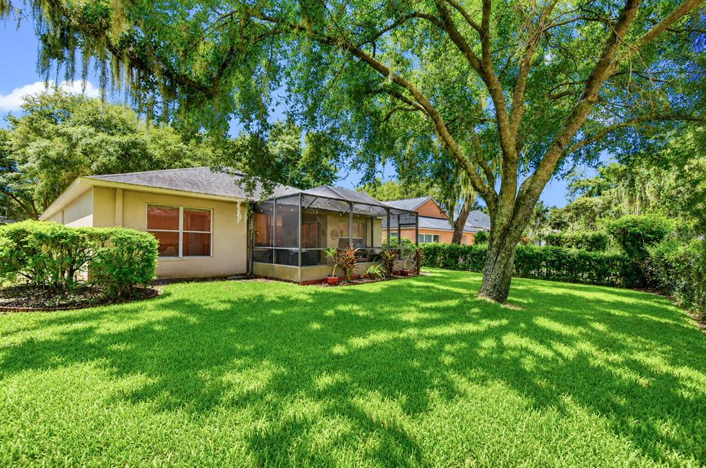 The backyard features a tan house with a screened-in porch and a large shade tree — 6209 GANNETDALE DRIVE, LITHIA, FL
