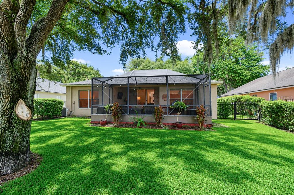 A backyard view of a house with a screened-in patio and a large oak tree — 6209 GANNETDALE DRIVE, LITHIA, FL