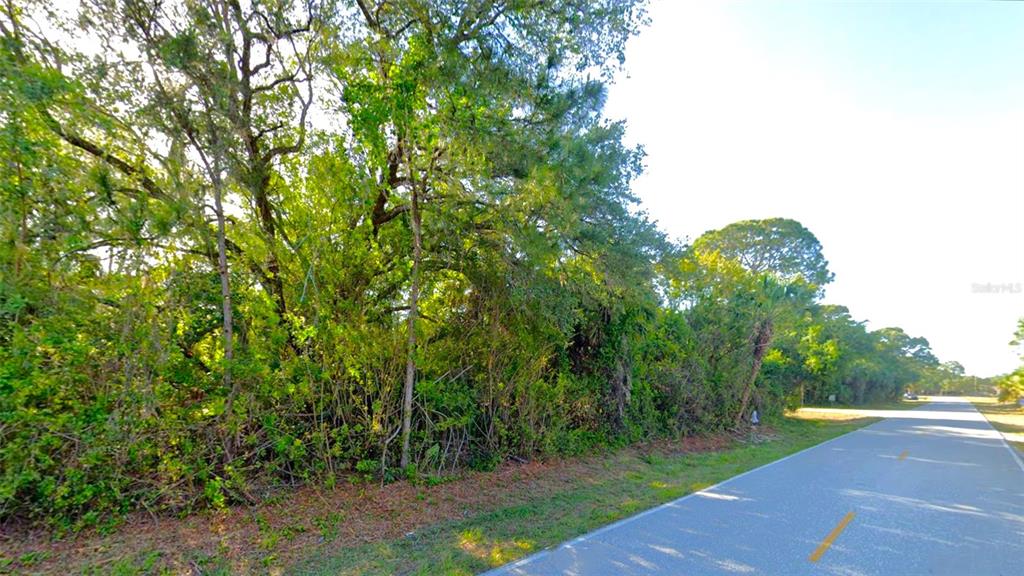 A paved road runs alongside a dense, wooded lot with mature trees and thick underbrush — 498 OVERBROOK STREET, PORT CHARLOTTE, FL