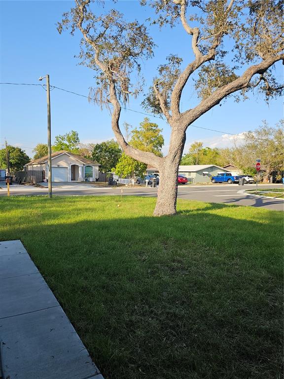 A large tree stands in a grassy front yard near a street and houses — 4502 42ND AVENUE N, ST PETERSBURG, FL