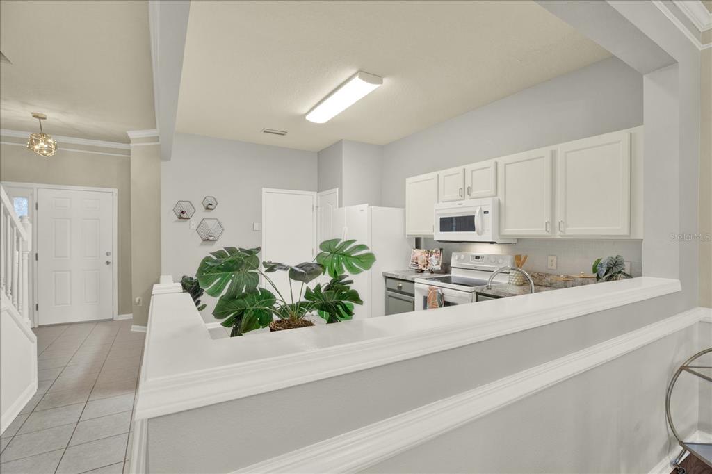 A kitchen with white cabinets and a plant-filled half-wall overlooking the entryway — 2733 CONCH HOLLOW DRIVE, BRANDON, FL
