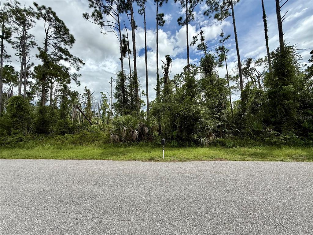 DRAGONFLY AVE, NORTH PORT, FL — photo 2 of 7
