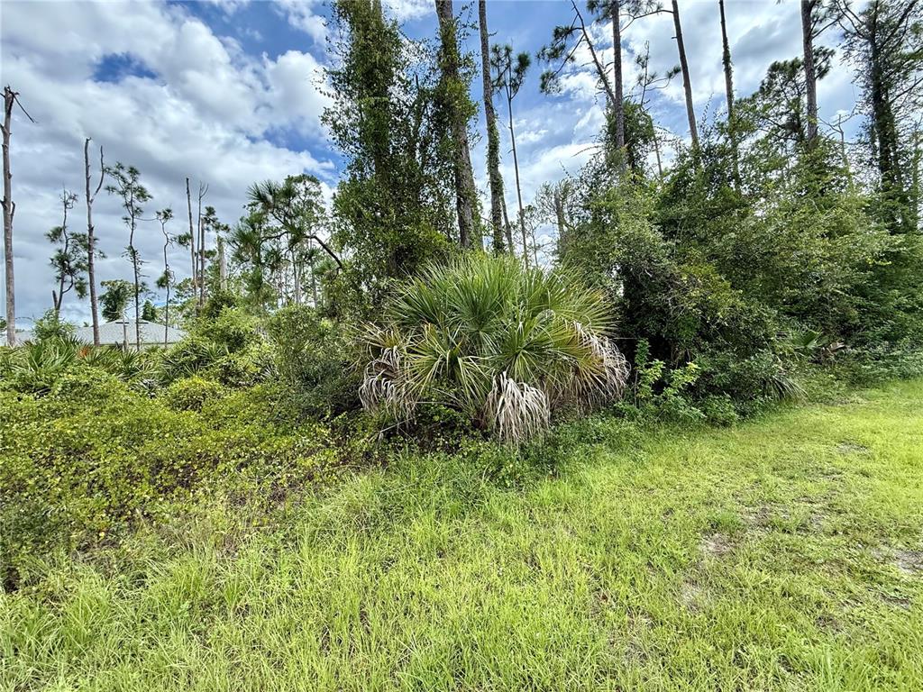 DRAGONFLY AVE, NORTH PORT, FL — photo 3 of 7
