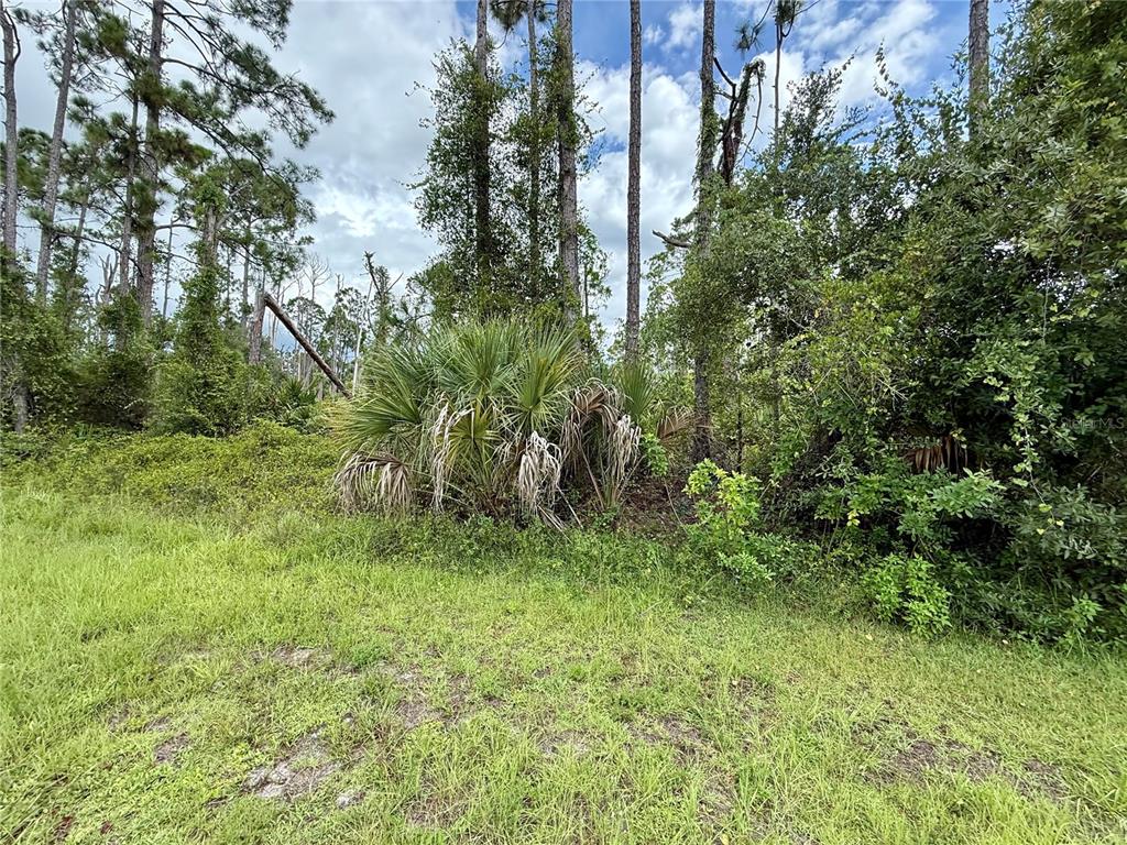 DRAGONFLY AVE, NORTH PORT, FL — photo 5 of 7