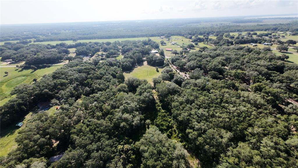 An aerial view shows a large, wooded property with scattered houses and open grassy areas — 41739 THOMAS BOAT LANDING ROAD, UMATILLA, FL