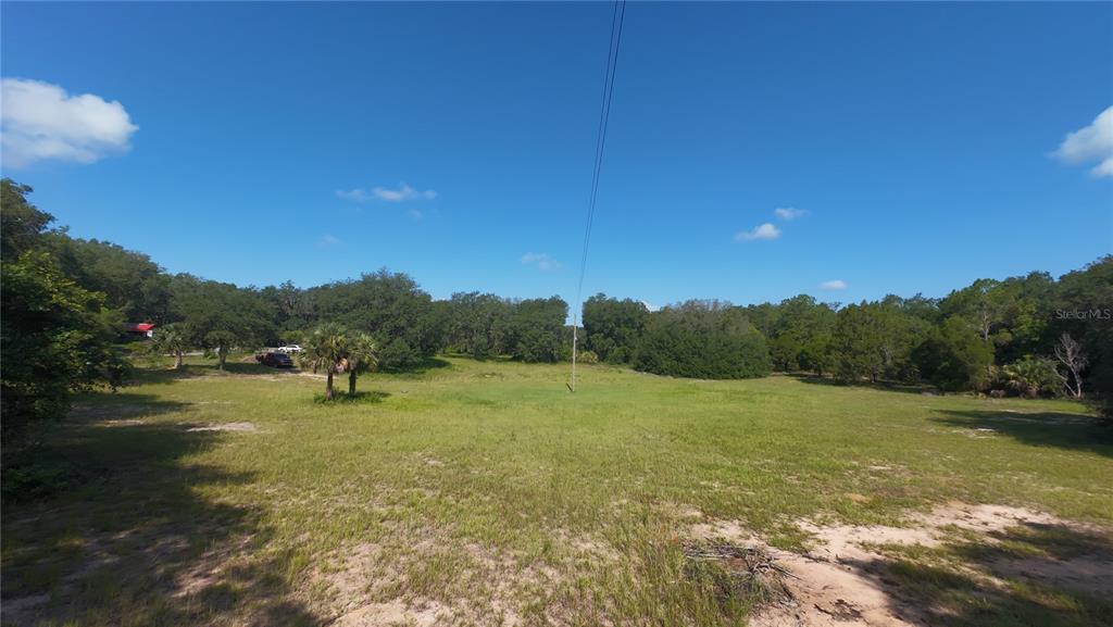 A wide, grassy, undeveloped lot is surrounded by trees under a clear blue sky — 41739 THOMAS BOAT LANDING ROAD, UMATILLA, FL