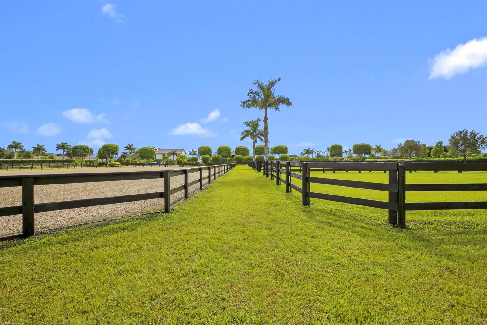 A grassy path runs between two fenced paddocks under a clear blue sky — 3899 Shutterfly Way, Wellington FL 33414, WELLINGTON, FL