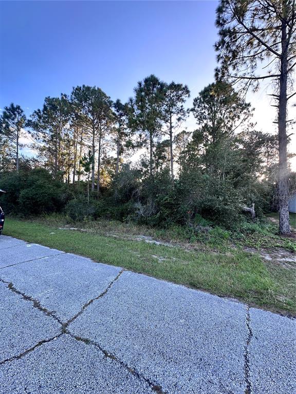 A view of a vacant, wooded lot bordered by a cracked asphalt road — 1548 MEDITERRANEAN DRIVE, KISSIMMEE, FL