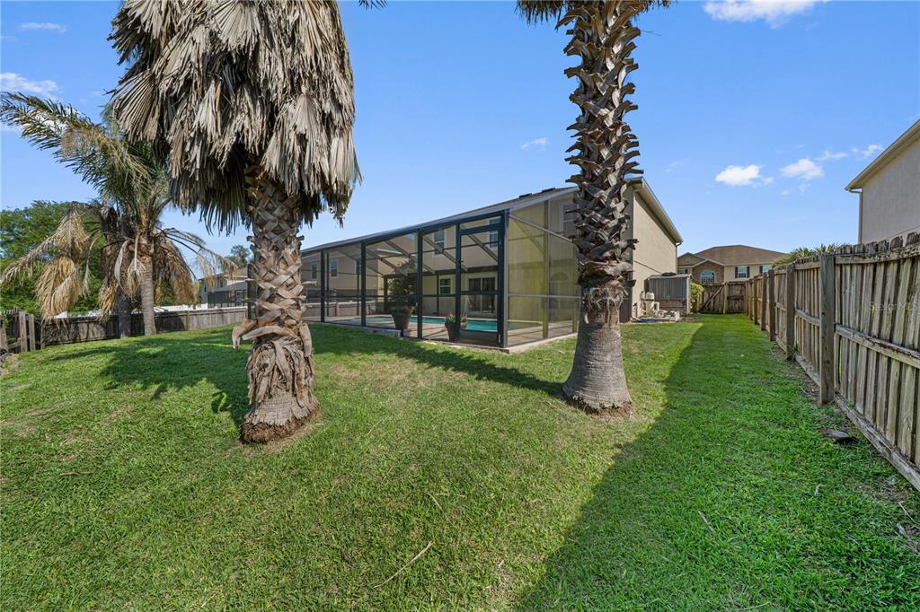 A backyard with two palm trees, a fenced lawn, and a screened-in swimming pool enclosure — 14308 NW 161ST AVENUE, ALACHUA, FL