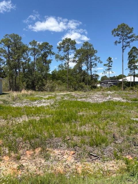 A vacant, grassy lot with scattered trees under a blue sky — 5605 LAKEWOOD ROAD, SEBRING, FL