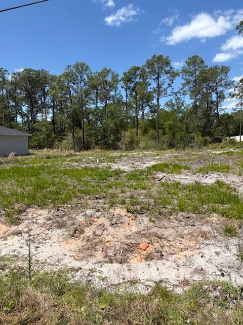 A vacant, sandy residential lot is bordered by a line of tall pine trees — 5605 LAKEWOOD ROAD, SEBRING, FL
