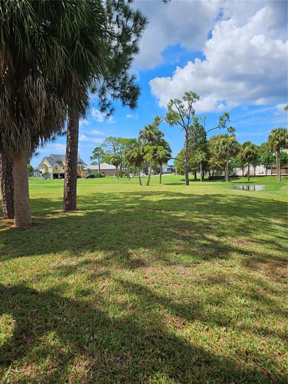 A grassy yard with palm trees and pine trees overlooks a pond and distant houses — N POINTE ALEXIS DRIVE, TARPON SPRINGS, FL