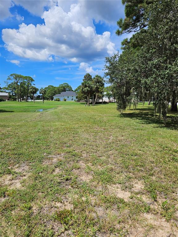 A grassy, undeveloped lot features scattered trees and a distant house under a cloudy sky — N POINTE ALEXIS DRIVE, TARPON SPRINGS, FL