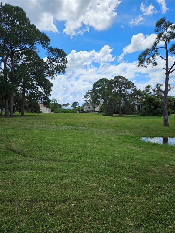 A grassy, open lot features scattered pine trees and a small puddle under a cloudy sky — N POINTE ALEXIS DRIVE, TARPON SPRINGS, FL
