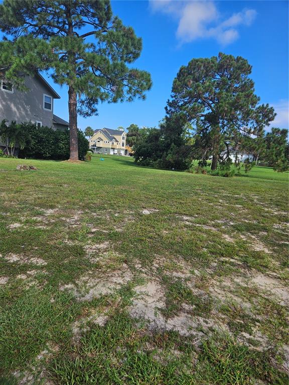 A grassy, sandy vacant lot features two large pine trees under a clear blue sky — N POINTE ALEXIS DRIVE, TARPON SPRINGS, FL
