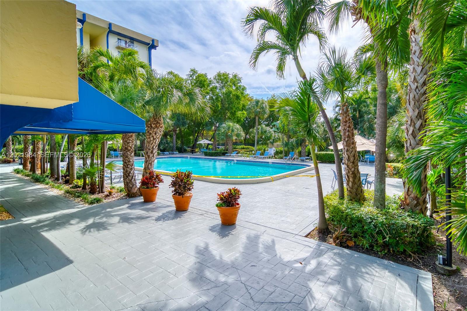 A swimming pool surrounded by a paved deck, palm trees, and a blue canopy — 801 NW 47th Ave # 515W, Miami FL 33126, MIAMI, FL