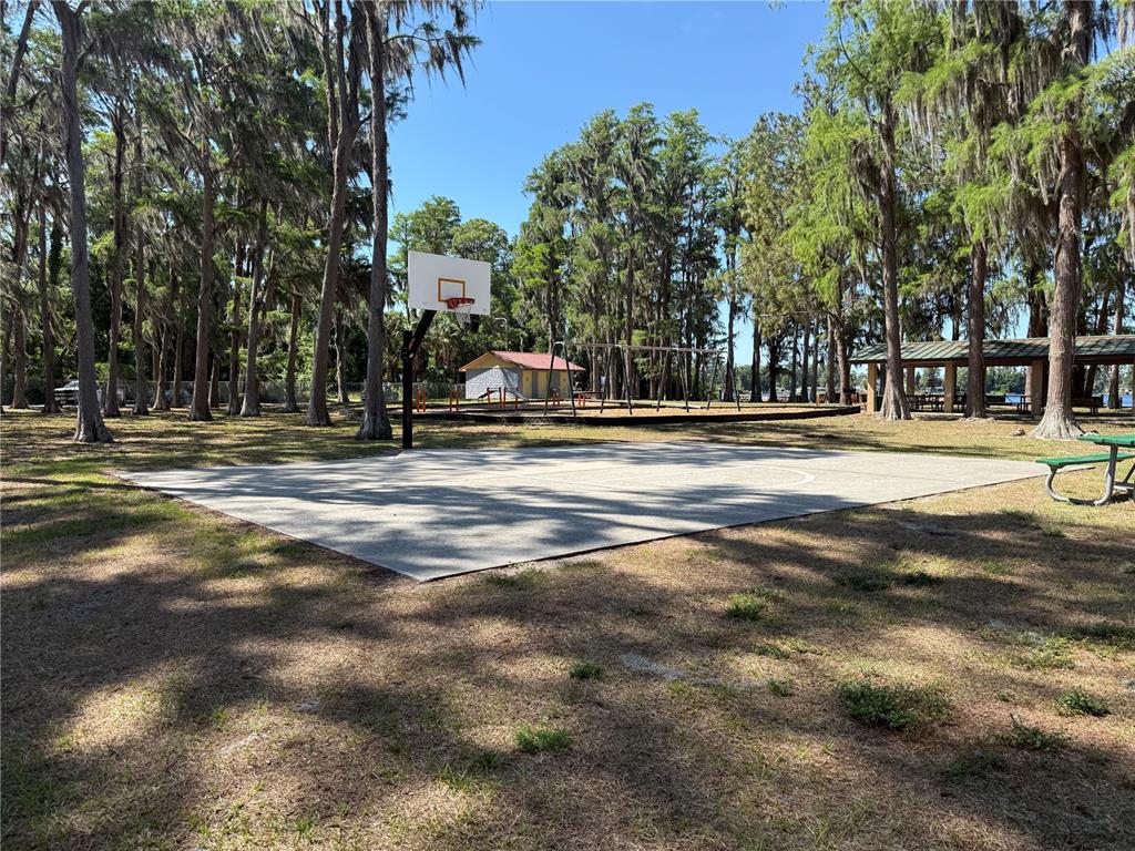 An outdoor basketball court sits in a park surrounded by trees near a playground — CODEL LOOP, NEW PORT RICHEY, FL